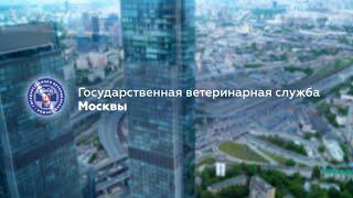 Государственная ветеринарная служба Москвы. Презентационный фильм (2023 г.).