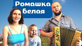 Ромашка белая | Как так можно петь?