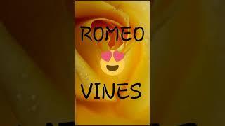 ROMEO  VINES