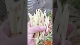 Commercial Turmeric Ginger Shredding Machine Ginger Cutting Machine