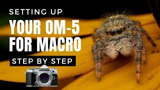 Setting up your OM-5 for macro