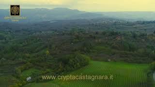 Crypta Castagnara cantine - Paesaggi e Vini Irpini