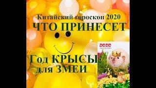 Год КРЫСЫ для ЗМЕИ. Китайский гороскоп 2020. Таропрогноз.