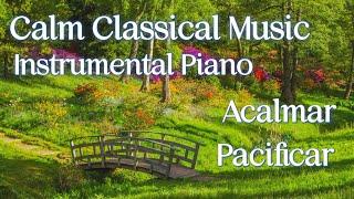 Calm Classical Music | Instrumental Piano | Calm and pacify