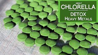 Learn About Chlorella Algae and How It May Help Detox Heavy Metals