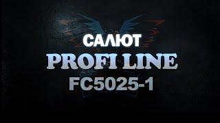 Салют Profi Line FC5025-01 (Furor) - Планета Фейерверков