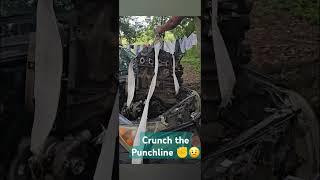 Crunch the Punchline ️