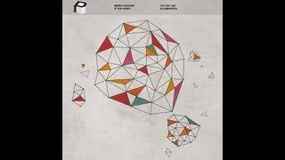 Mord Fustang - If You Want [Electro House | Plasmapool]
