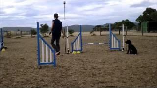 Megan Bell Workshop