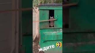 ХУЛИ ТЫ ОРЕШЬ ПОЛУДУРОК, ИЛИ ВЫ КТО ТАКИЕ, Я ВАС НЕ ЗВАЛ!!