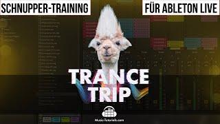 Ableton Live Tutorial für Anfänger auf Deutsch: Trance Trip Classic Edition Schnupper-Training