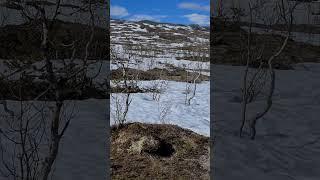 Snow Melting In The Mountains ️