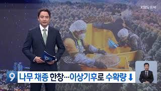 [LIVE] KBS 충북 뉴스9 라이브ㅣ2024년 11월 14일 (수)