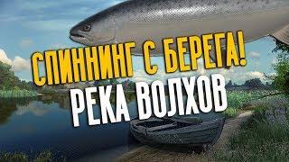 РУССКАЯ РЫБАЛКА 4. Фарм серебра на Волхове. Спиннинг с берега. Жерех, Судак и Лосось