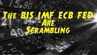 Dan Reitzik  The Threat & Movement Are Real, The BIS, IMF,ECB,FED Are Scrambling