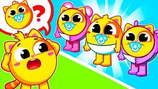 Where Is The Little Baby? | Funny Song For Baby & Nursery Rhymes by Toddler Zoo