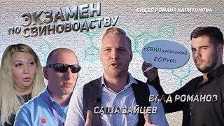 Подставное интервью.  Экзамен по свиноводству. Видео Романа Харитонова