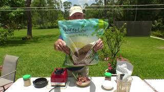 How To Stay Healthy -What A 72 Year Old Vegan High Fruit Eats For Lunch Raw Diet Fruit up Is Healthy