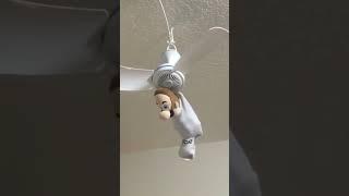 Luigi Spins On The Ceiling Fan! #shorts #ceilingfan