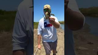 EASIEST way to catch UNLIMITED amounts of CRABS!
