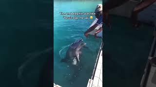 Dolphins like to play with humans #funnyvideos #love #pets #fyp #funny #dolphins #animals
