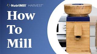 How To Mill Grains with the NutriMill Harvest