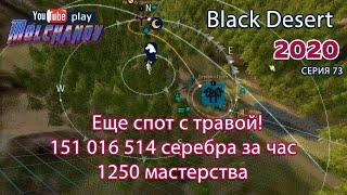 Сбор Травы 4. Black Desert Фарм серебра 2020. Лучница. Трент.