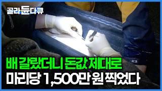 8년간 키운 보람이 있다. 지리산에 살고 있는 한 마리에 1500만 원 어종｜캐비어를 품은 철갑상어 키우기｜극한직업｜#골라듄다큐