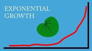 Exponential Growth: a Commonsense Explanation.