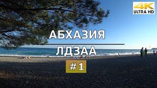 Поездка в Абхазию | Обзор курорта Лдзаа  | Лучший пляж в сосновой роще в окрестностях Пицунды.