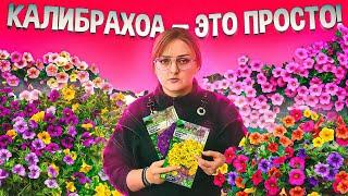 КАЛИБРАХОА! КАК ПРАВИЛЬНО СЕЯТЬ? ЛУЧШАЯ ШПАРГАЛКА ДЛЯ ДАЧНИКА