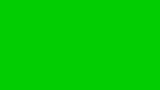 Balloons flying green screen animation| Editor G