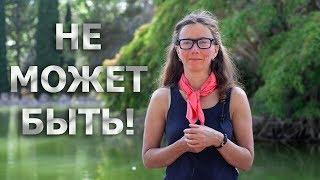 Инстинкты у людей: есть или нет?