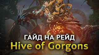 Обзор рейда Hive of Gorgons! New World: Aeternum