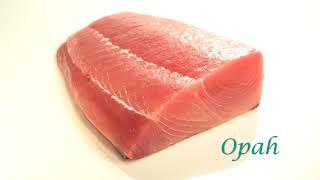 Honolulu Fish Company - Opah (Moonfish)