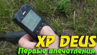 XP Deus | Металлоискатель Деус: Первые впечатления, настройки и мнение кладоискателя.