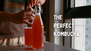 Can I make the perfect kombucha?