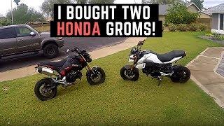 I Bought 2 Honda Groms Used on Craigslist | 2015 vs 2017 | How Much did I Pay?