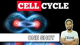 Cell Cycle Full Chapter | One Shot | Mitosis and Meiosis | ICSE Class 10 Biology | #biology