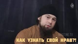 Абу Зубейр — Как узнать, какой у тебя нрав?!