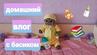 Домашний влог с басиком!