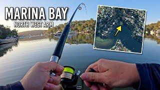 What's lurking in Marina Bay, Port Hacking?