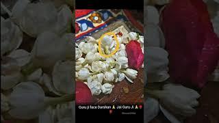 guruji darshan | guruji miracle | guruji satsang blessing #short #guruji