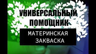 МАТЕРИНСКАЯ ЗАВКВАСКА | ПРОСТАЯ ЗАКВАСКА ДЛЯ СЫРОВ | ДОМАШНЯЯ ЗАКВАСКА ТОЛЬКО ИЗ МОЛОКА