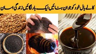 Natural hair dye for Young Look only 3 ingredients permanent grey coverage hair dye just 10 minutes