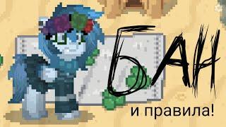 за что можно получить бан? какие же правила в пони тауне?