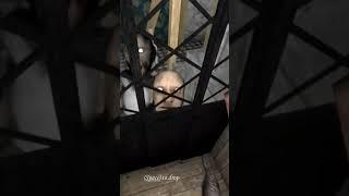 The Mini Elevator is Safety in Granny Recaptured #dvloper #granny #gaming #viral #shorts