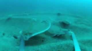 Fishing for flatfish (GOPRO underwater footage) .m4v