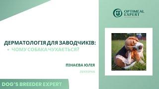 Dog's Breeder expert. Дерматологія для заводчиків собак. Пінаєва Юлія. 22.12.24