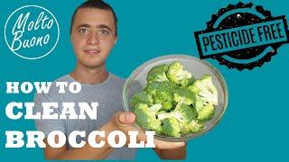 How To Remove The Pesticides From Broccoli  (Or Any Other Vegetable) | Molto Buono